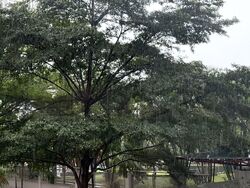 coral-vale photo thumbnail #4